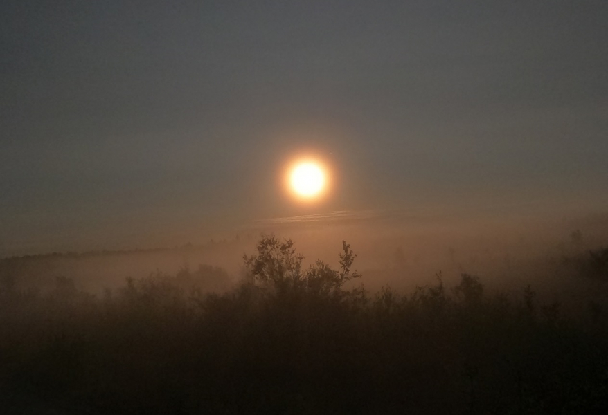 Погода в Мурманской области Луна