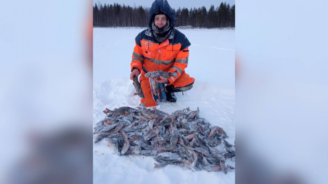 Северянин похвастался богатым рыбным уловом в Мурманской области Рыбный улов