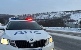 Статистика ДТП Полицейский автомобиль