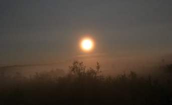 Погода в Мурманской области Луна