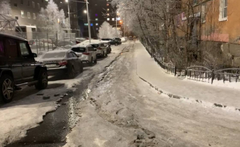 Дурно пахнущий сюрприз обнаружили жители одного из дворов в Мурманской области Кола