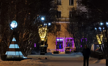 Преступник в Мурманске получил 12 лет за страшные преступления Мурманск
