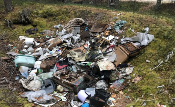 В Мурманской области появилась очередная мусорная свалка Мусор