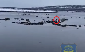 Мурманчанин попал в ловушку во время прилива Прилив