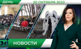 Полное видео программы «Дневные новости»