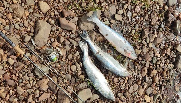 Преступников задержали во время крупного рейда в Мурманской области Мурманская область