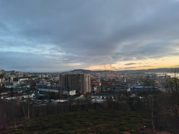 Необычную семью продают в Мурманске Мурманск