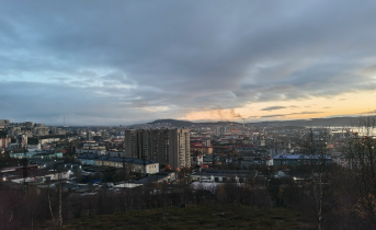 Необычную семью продают в Мурманске Мурманск