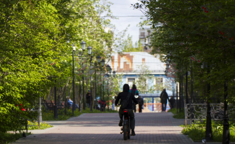 Увлекательная прогулка по Мурманску. Северяне узнают новое о муралах города Велосипедист