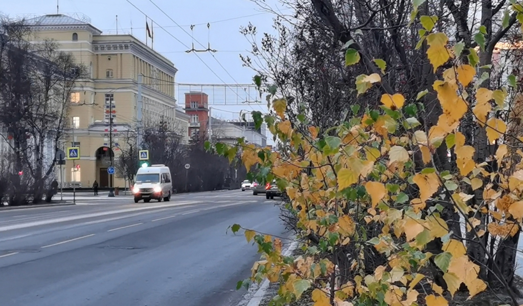 Мужчину не удалось спасти в Мурманске Мурманск, город, осень, дерево, машина