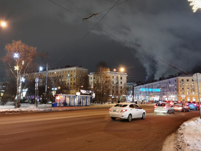 Танцующего медведя встретили в центре Мурманска Мурманск