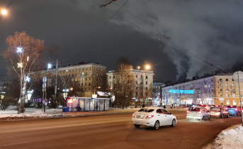 Танцующего медведя встретили в центре Мурманска Мурманск