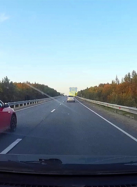 Через дорогу в Мурманской области бегает медведь Дорога