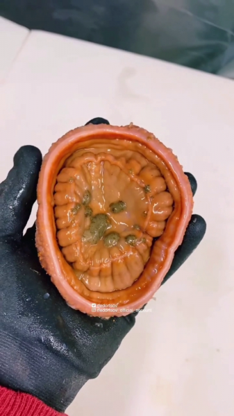 Морской обитатель