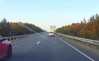 Через дорогу в Мурманской области бегает медведь Дорога