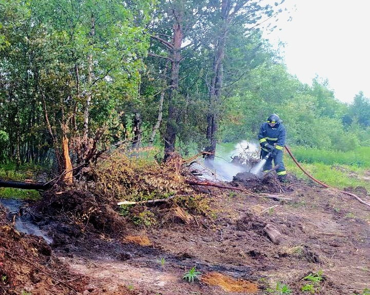 Крупное бедствие предотвратили в Мурманской области Мурманская область