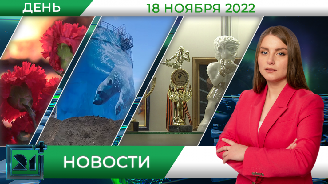 Полное видео программы «Дневные новости»