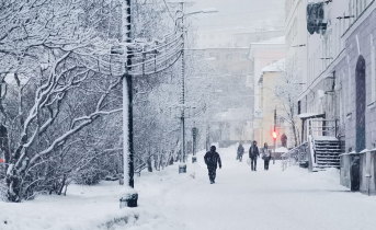 Кража в Мурманске Люди