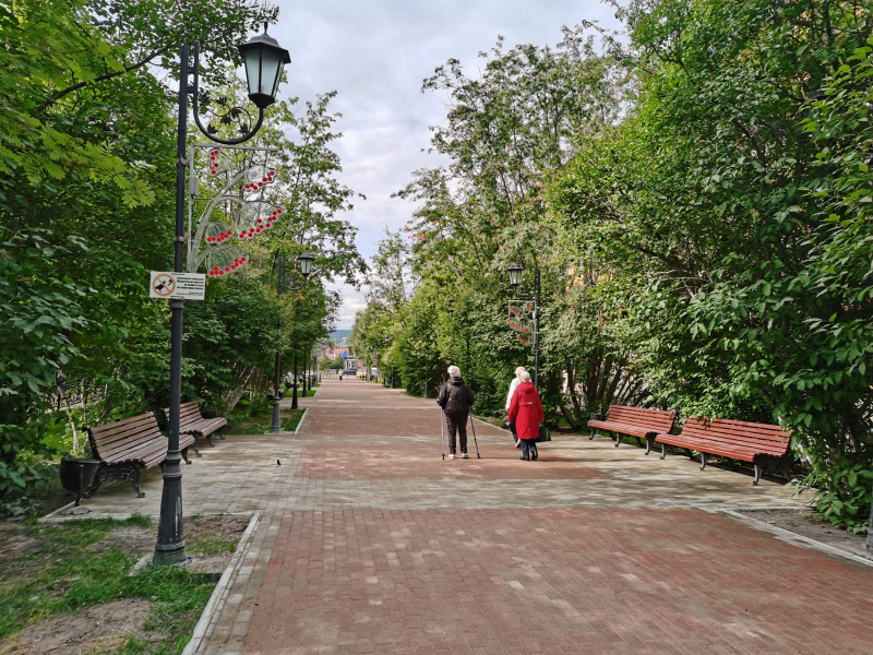 В Мурманске после ремонта открыли Рябиновую аллею, фото Рябиновая аллея