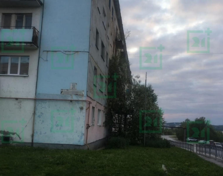Дерево на балконе Дом