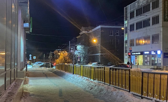 В Мурманске задержали серийных преступников Мурманск