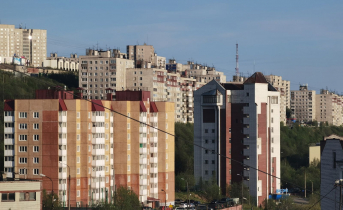 В Мурманской области мужчина избил бывшую супругу ламинатом Дома