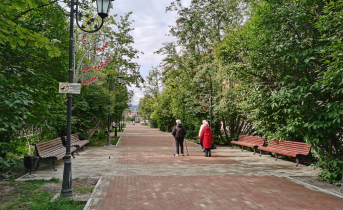 В Мурманске после ремонта открыли Рябиновую аллею, фото Рябиновая аллея