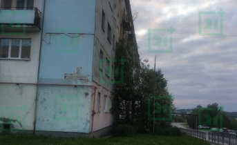 Дерево на балконе Дом