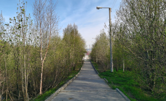Город